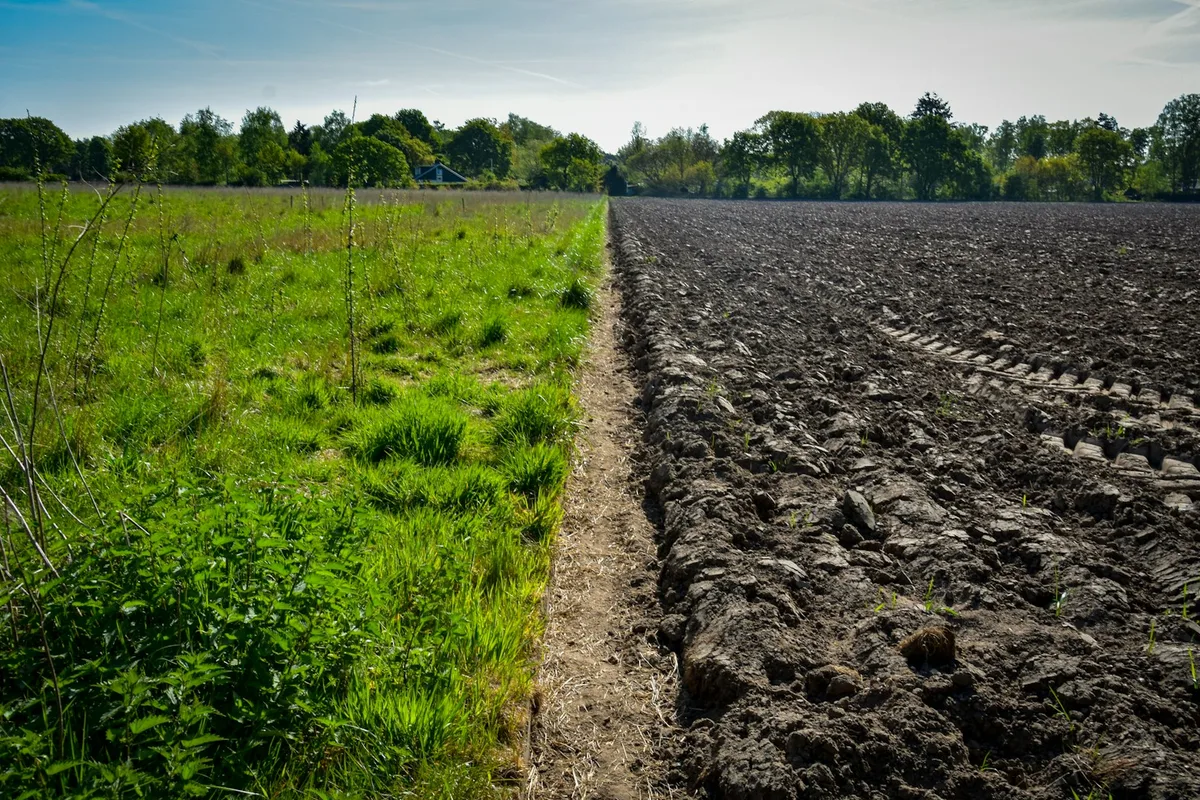 Environmental Site Assessments for Commercial Property
