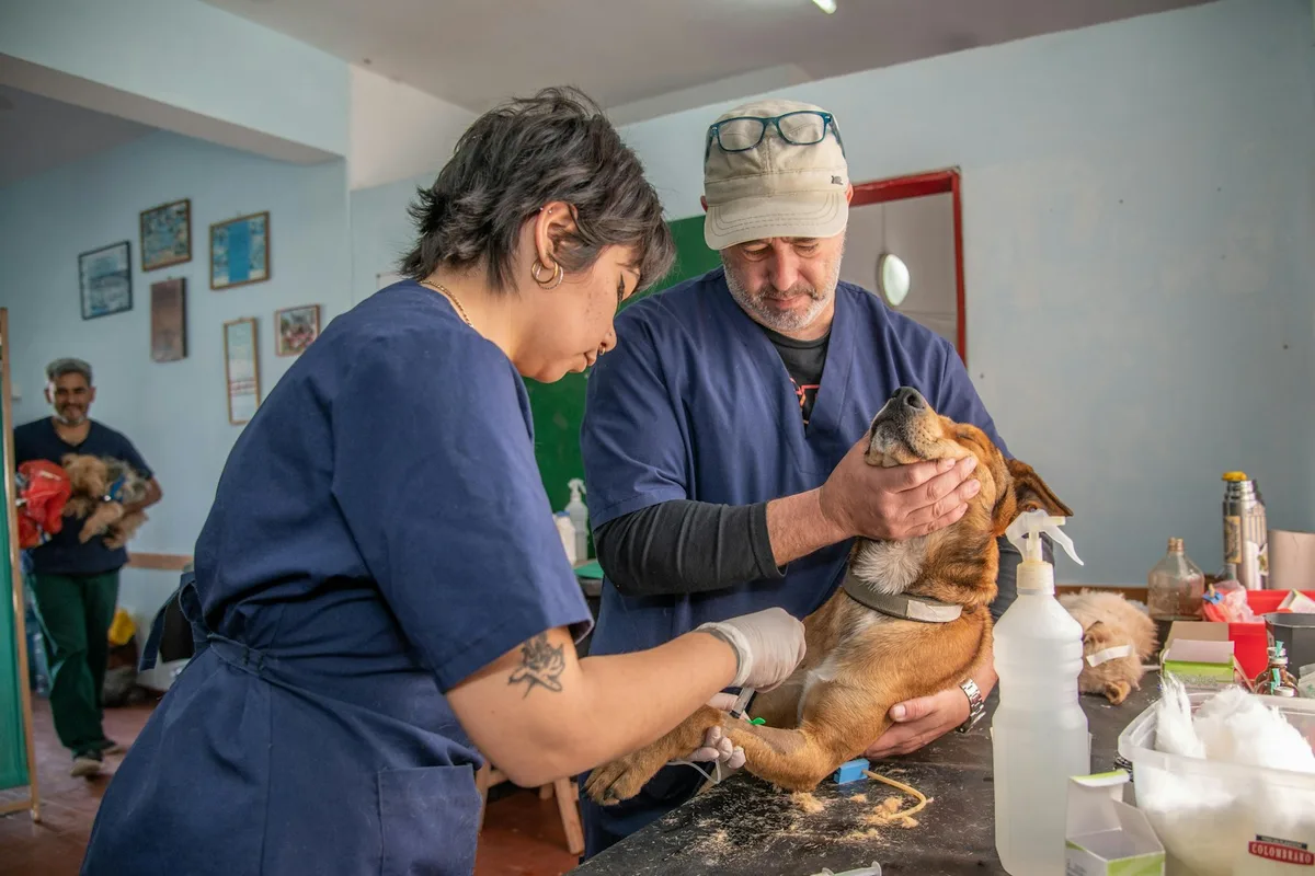 Veterinary Clinic Property Investment in Australia